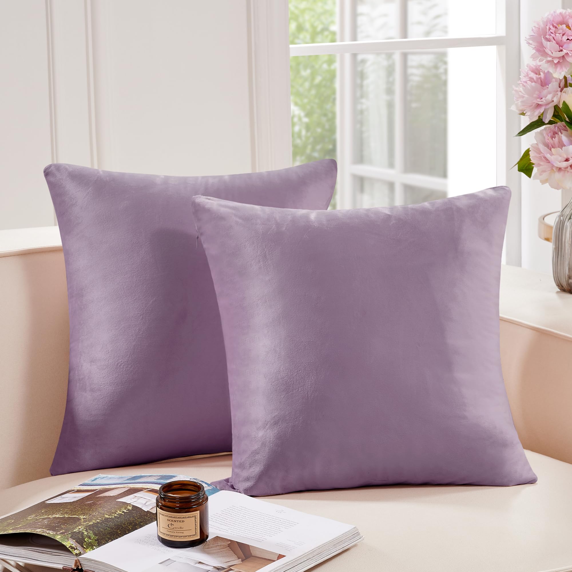 Deconovo Home Velvet Soft Decorative Pillow Covers Invisible Zipper Cushion Cover, 2-Pack