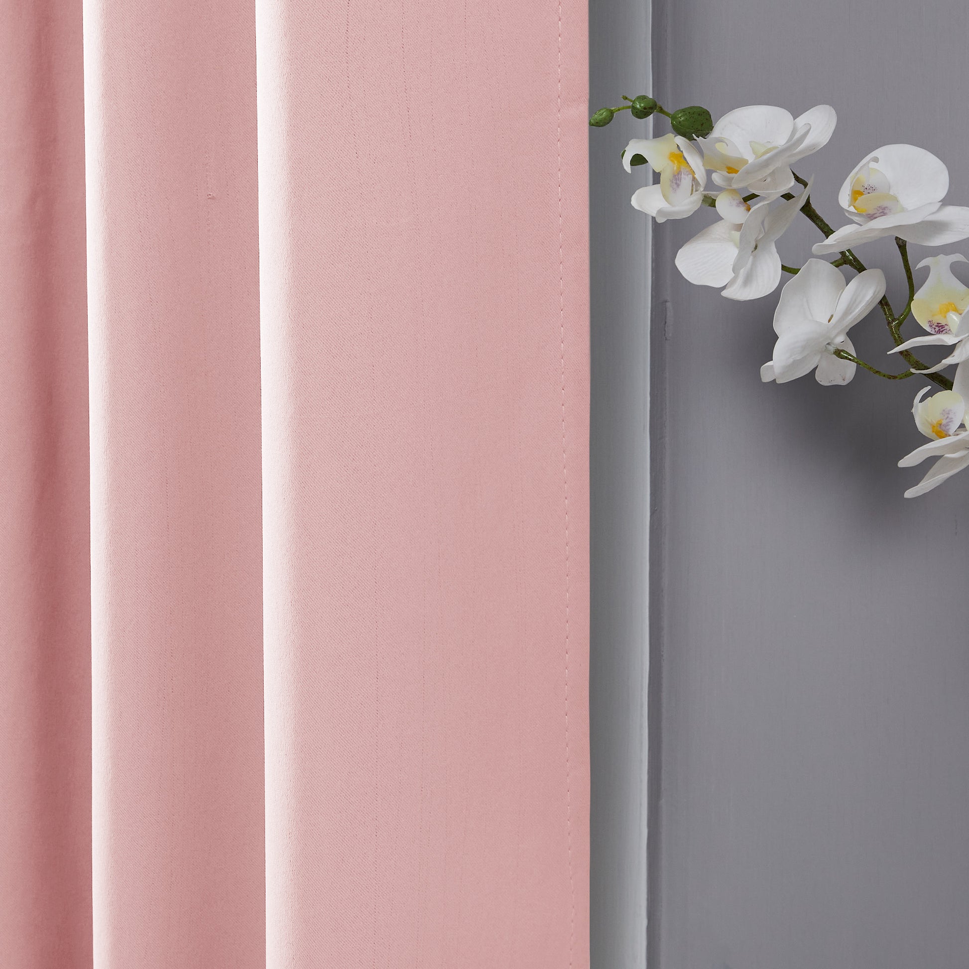 Coral Pink