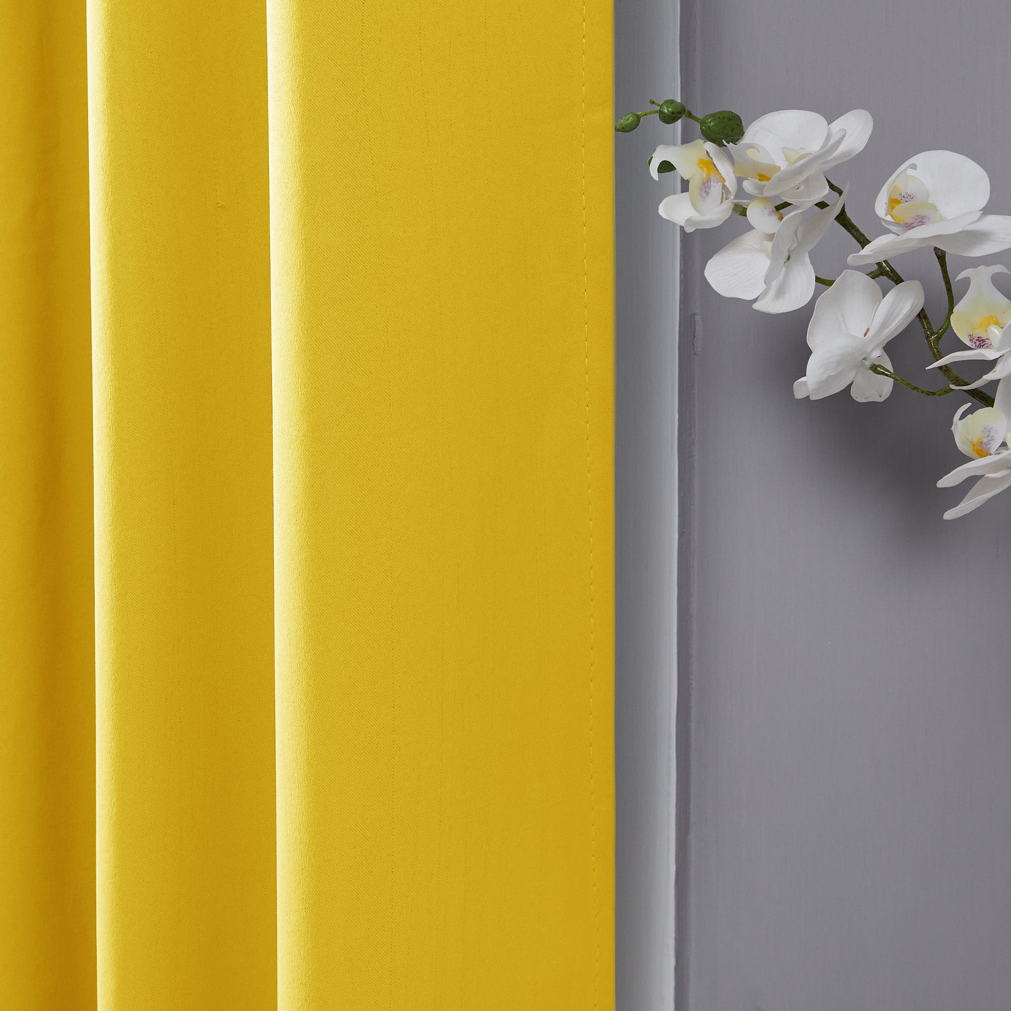 Mellow Yellow